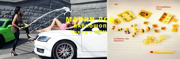 ПСИЛОЦИБИНОВЫЕ ГРИБЫ Абаза