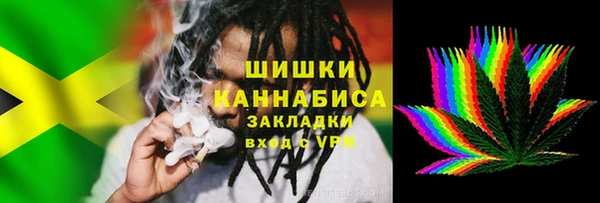 ПСИЛОЦИБИНОВЫЕ ГРИБЫ Абаза