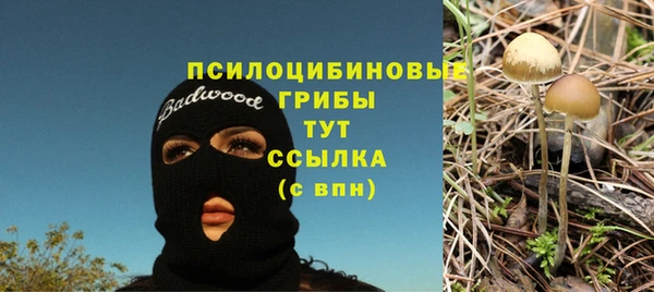 ПСИЛОЦИБИНОВЫЕ ГРИБЫ Абаза