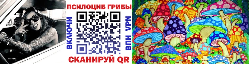 Галлюциногенные грибы Cubensis  Боровск 